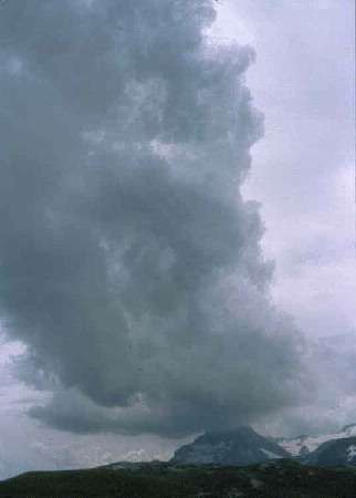 image14